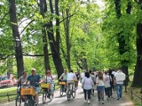 Moje miasto. Planty dla pieszych czy autostrada dla rowerów?