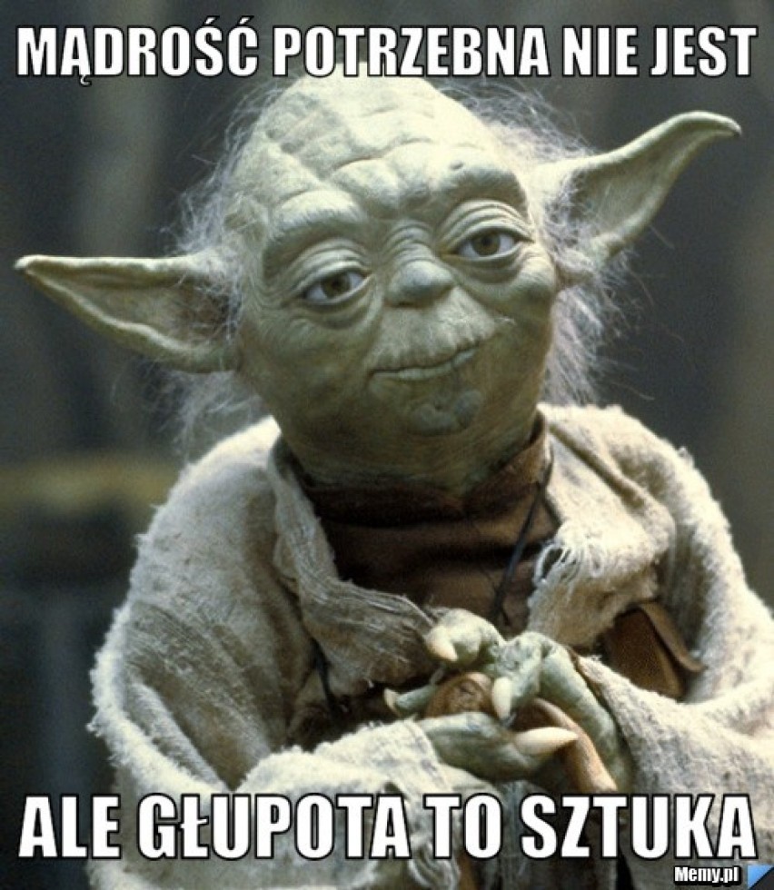 Głupota ludzka nie zna granic. Czy świat staje się coraz głupszy? [MEMY]