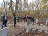 Gmina Zapolice odbudowała zabytkowy cmentarz wojenny z 1914 r. w Swędzieniejewicach ZDJĘCIA
