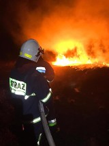 Nie wypalaj traw! - apeluje straż. W ostatnich tygodniach opoczyńscy strażacy ugasili 40 pożarów traw i łąk [ZDJĘCIA]