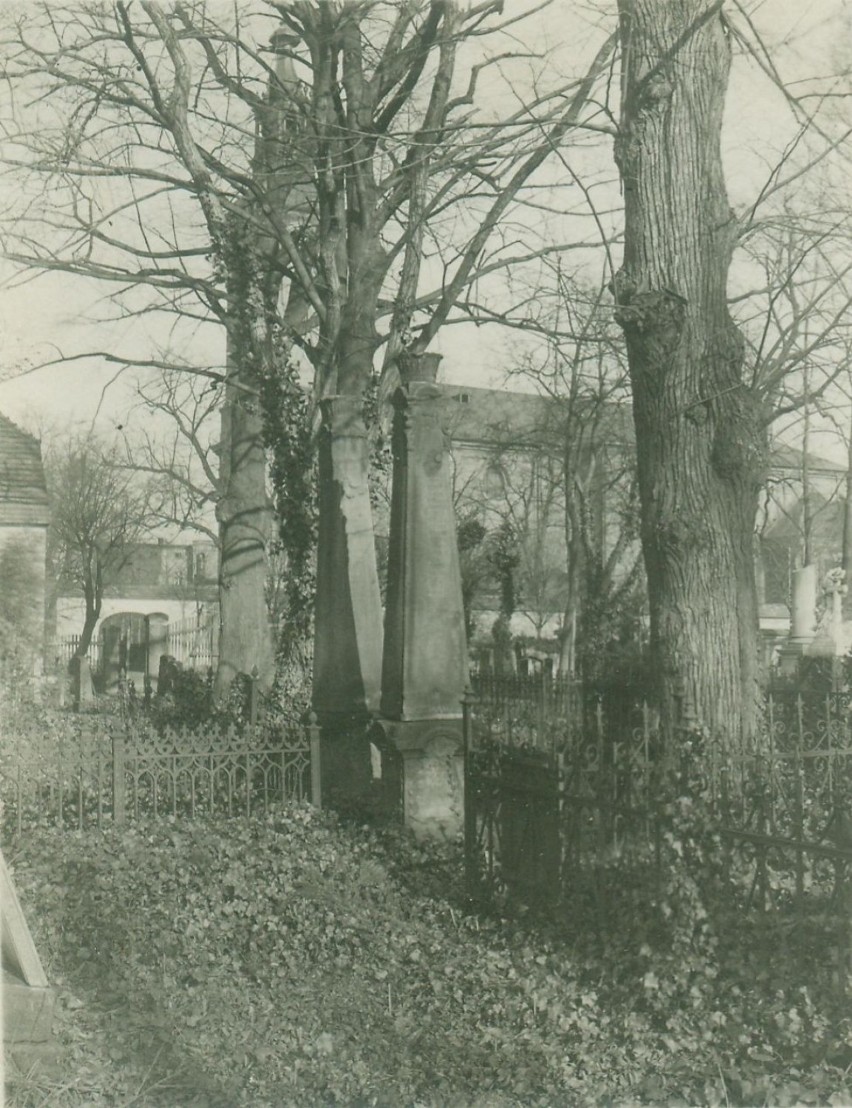 Lapidarium w Lesznie - tej wiosny mur od strony Al. Krasińskiego zostanie otynkowany [FOTO, FILM]