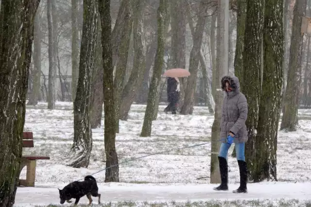 Z Rafałem Maszewskim, meteorologiem i twórcą portalu pogodawtoruniu.pl rozmawiamy o tym, jaka pogoda czeka nas w najbliższym czasie i kiedy możemy liczyć na pierwsze opady śniegu. >>>>>