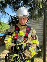  Strażacy z Ochotniczej Straży Pożarnej Szamocin uratowali kota