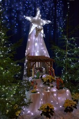 Szopki Bożonarodzeniowe w Międzychodzie. Zobaczcie zdjęcia szopek w kościołach [FOT]
