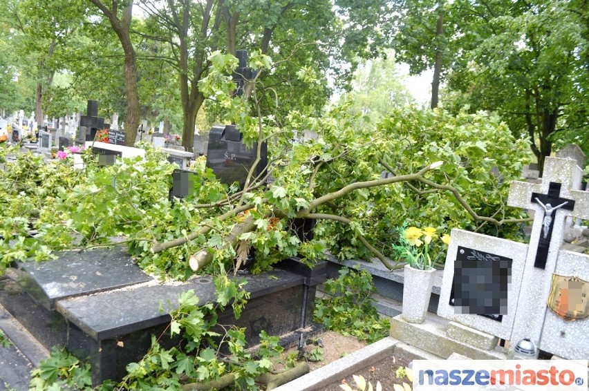 Nawałnica wyrządziła szkody na Cmentarzu Komunalnym we Włocławku [ZDJĘCIA]