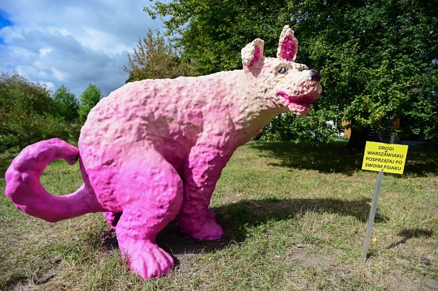 Różowy pies w jednym z warszawskim parków. Rzeźba podzieliła...