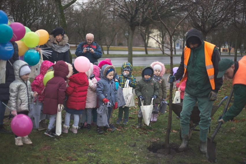 Przedszkolaki posadziły drzewka przy ul. Sobieskiego [wideo, zdjęcia]