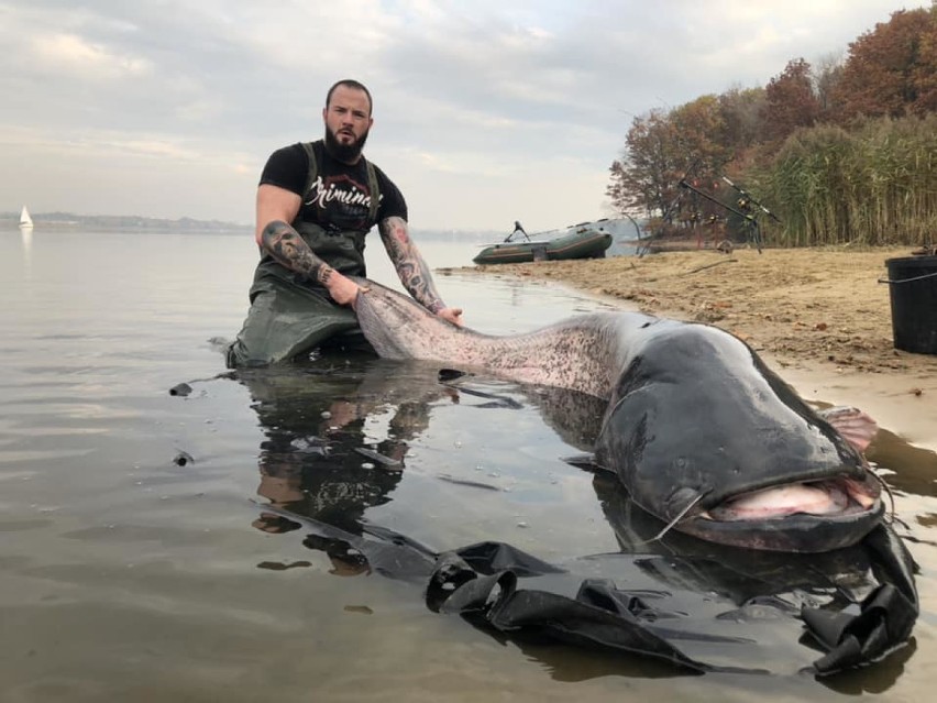 Szymon Nowowiejski wyłowił gigantycznego suma z Zalewu...