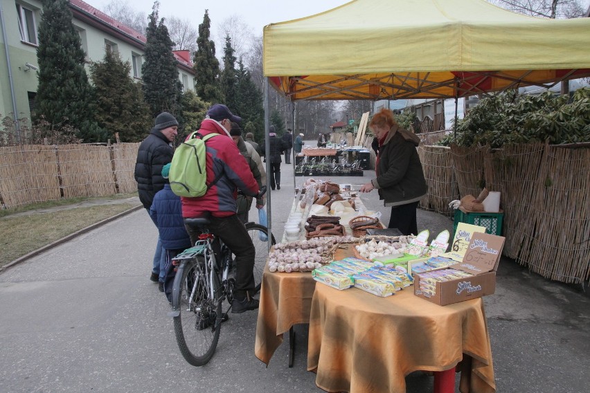 Wystawa storczyków w Ogrodzie Botanicznym w Łodzi PROGRAM