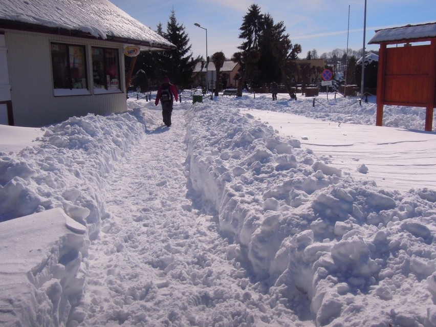 Zamość i region: Zima wróciła, ale najgorsze już za nami. ZDJĘCIA, RELACJA