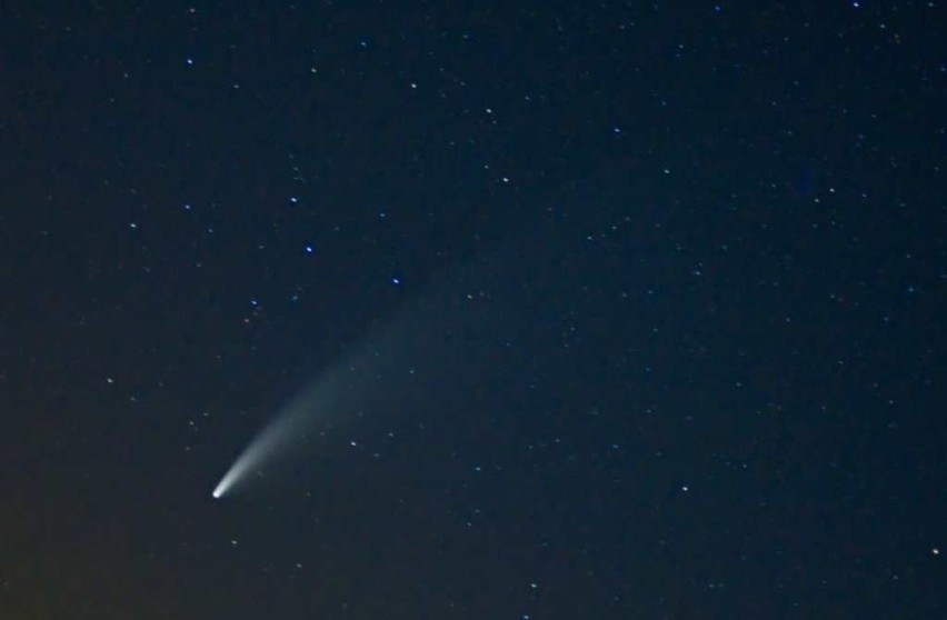 Kometa Neowise nad Proszowicami.