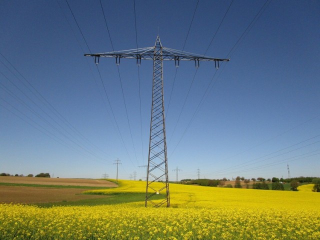 Ochrona odbiorców przed nadmiernym wzrostem cen energii elektrycznej będzie obowiązywała przez pół roku.