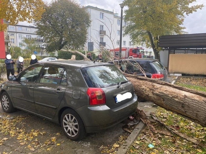 Straż pożarna interweniowała już ponad 1400 razy. Oto skutki wichury w Kujawsko-Pomorskiem! [zdjęcia]