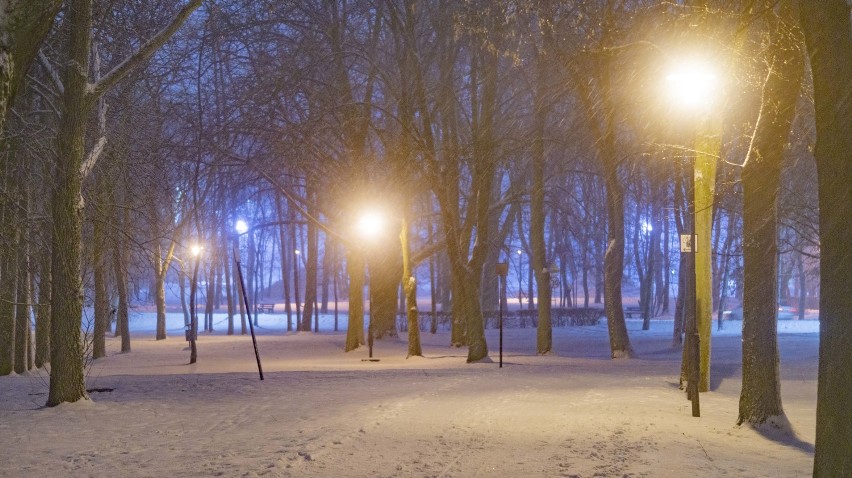 Park Solankowy w Inowrocławiu w zimowej scenerii