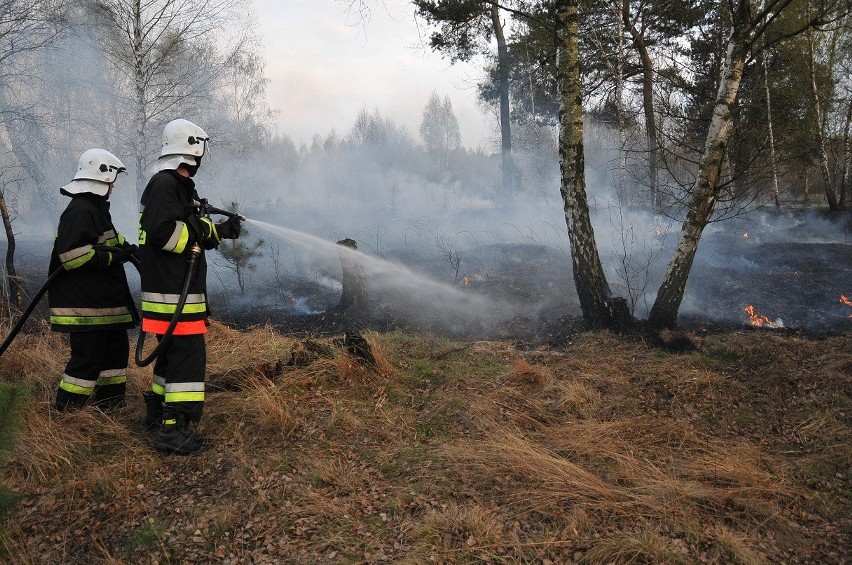 Pożar na poligonie [zdjęcia]