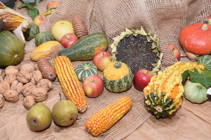 Szamotuły. Międzynarodowy Dzień Żywności w "Rolniku": życzenia dla nauczycieli i mnóstwo smakołyków!