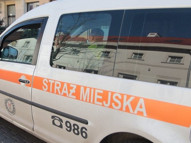 Interwencja Straży Miejskiej we Włocławku