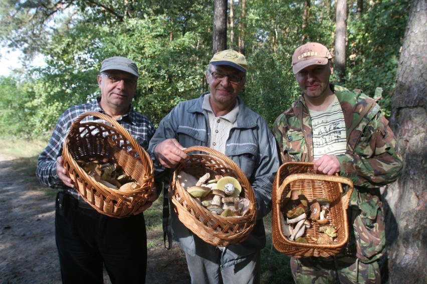 Znalezione w podraciborskich lasach! [ZDJĘCIA]