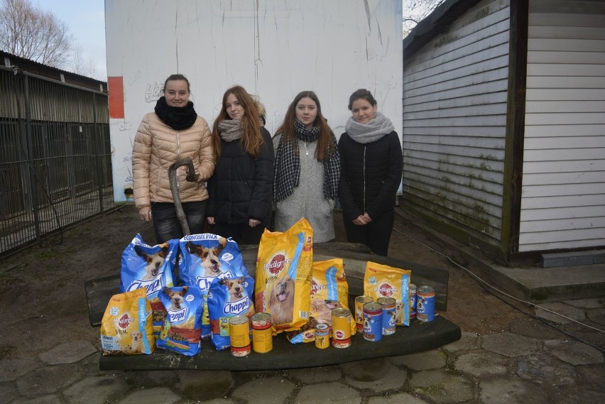 Pełna miska dla schroniska od uczniów ZSP nr 3 w Łowiczu [ZDJĘCIA]