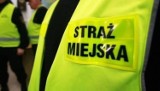 Straż Miejska Jelenia Góra: Jak minął długi weekend w naszym regionie?