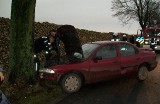Wypadek w miejscowości Bielsko. Ford mondeo uderzył w drzewo
