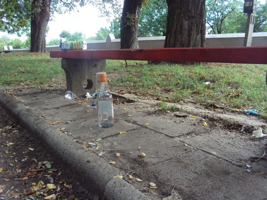 Piją alkohol na cmentarzu wojennym w Kole