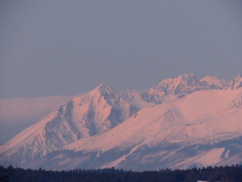 Muszyna. Widok na ośnieżone Tatry o poranku z góry Malnik [ZDJĘCIA] 21.02.