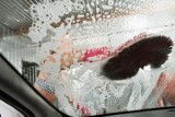 Myjnie bezdotykowe w Rudzie Śląskiej, czyli sezon pylących drzew. Gdzie skutecznie umyjemy samochód w Rudzie Śląskiej?