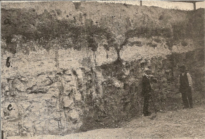 Odkrywka skał wapiennych na Brzustówce (zdjęcie z 1912...