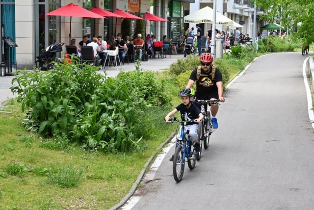 Piękna sobota skłoniła wiele osób do aktywnego wypoczynku. W miasto tłumnie ruszyli także rowerzyści. Tłumnie jeździli na wszystkich ścieżkach rowerowych w Kielcach. 

>>> ZOBACZ WIĘCEJ NA KOLEJNYCH ZDJĘCIACH 