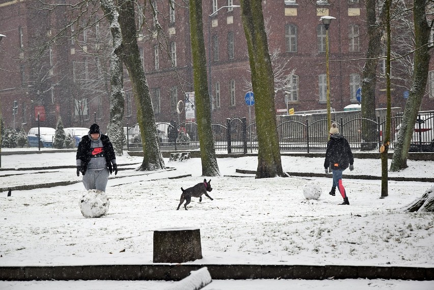 Noworoczny śnieg w Stargardzie. Mieszkańcy spacerują, lepią bałwany, jeżdżą na sankach