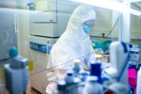 Drugiej fali koronawirusa w Polsce nie będzie? Jest nowa prognoza rozwoju pandemii COVID-19