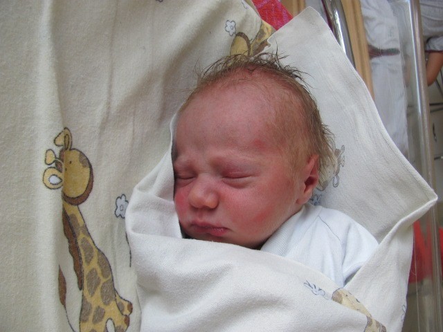 Antoni Cich,syn Agaty i Łukasza. Urodził się 20 sierpnia....