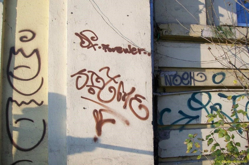 Napisy na ścianach – plagą wrocławskich osiedli