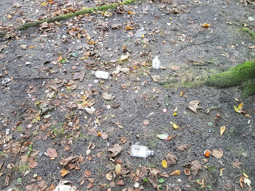 Lębork. Poimprezowe pozostałości w parku Michalskiego. Taki widok odpycha