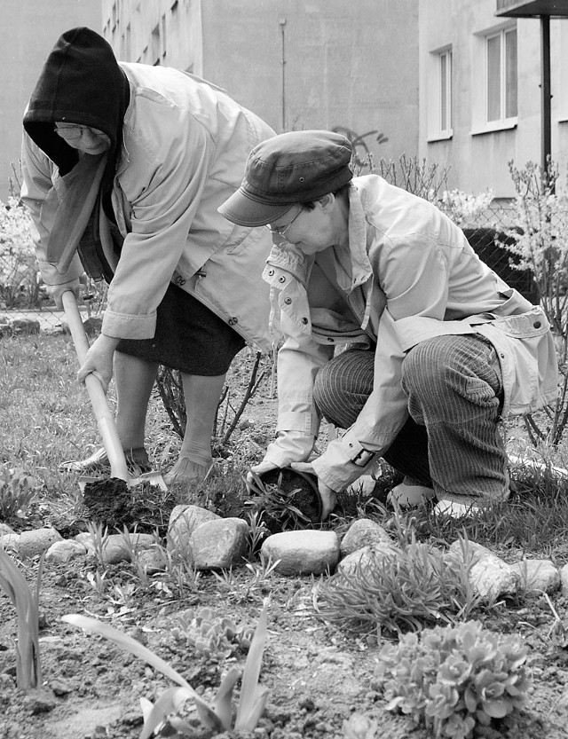 Pani Ewa (w czapce z daszkiem) sadzi nowe rośliny. Czasem pomagają jej w tym sąsiedzi.