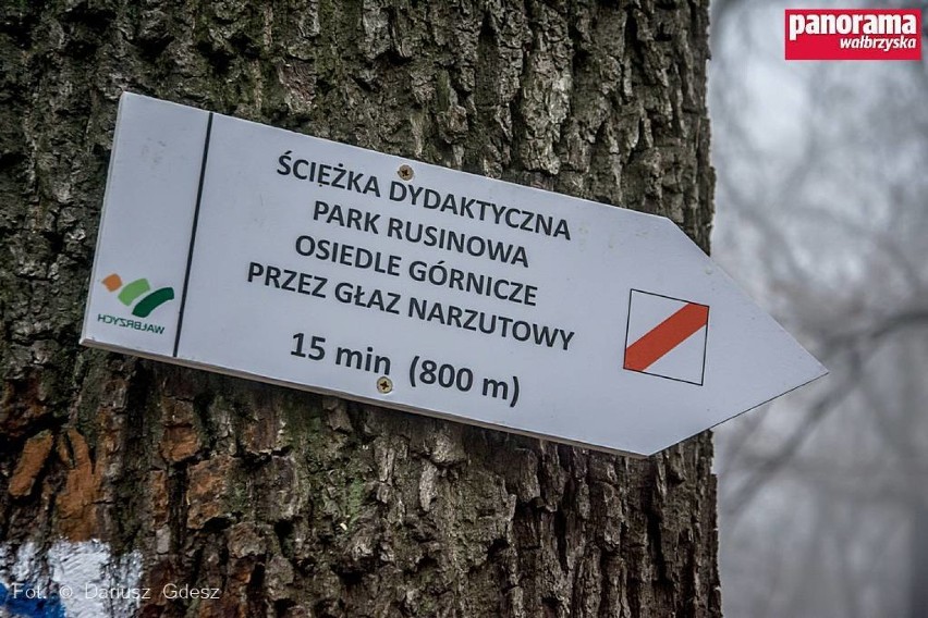 Otwarcie po rewitalizacji  największego w Wałbrzychu Parku Miejskiego „Rusinowa” [ZDJĘCIA i FILM]