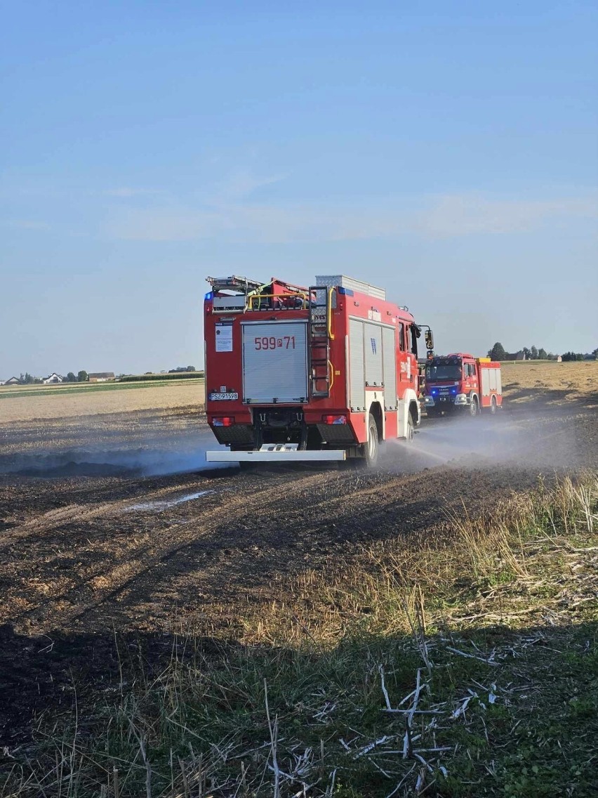 Pracowity początek tygodnia strażaków w powiecie szamotulskim