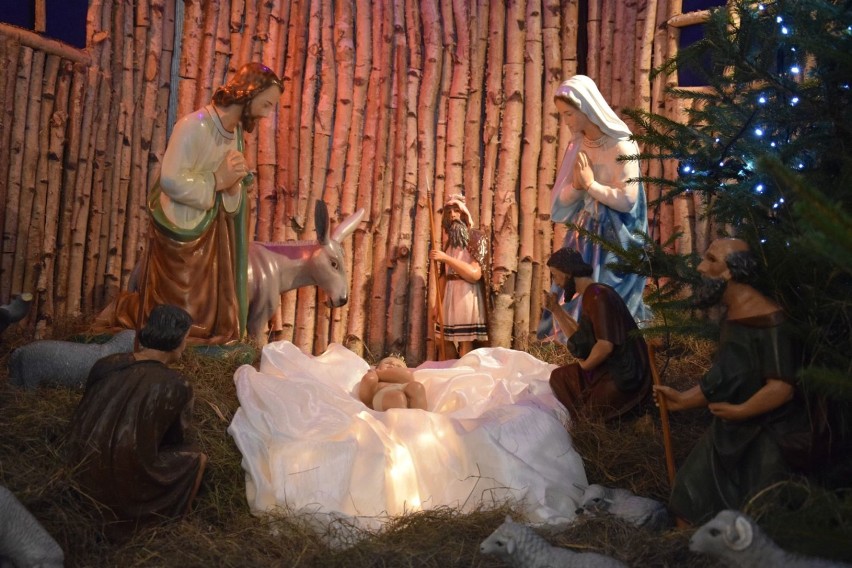 Starogard Gd. Szopki bożonarodzeniowe w kościołach ZDJĘCIA