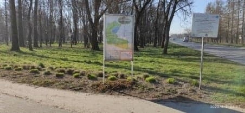 Place zabaw, parki i ośrodek Gutwin w Ostrowcu zamknięte do odwołania [ZDJĘCIA, WIDEO] 