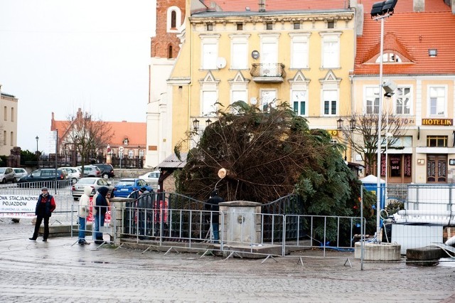 Choinka na Rynku w Gnieźnie przewróciła się pod wpływem wiatru.