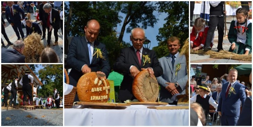 Dożynki powiatu rawickiego 2019. Stawiali mendla, tańczyli i kroili chleb... [ZDJĘCIA]