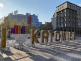 Duży napis Katowice z logo miasto nad Sztuczną Rawą. Są też choinki zamiast palm ZDJĘCIA