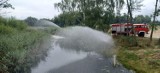 Śnięte ryby w rzece Czerwonej. Strażacy z OSP Dobrzyca napowietrzali wodę