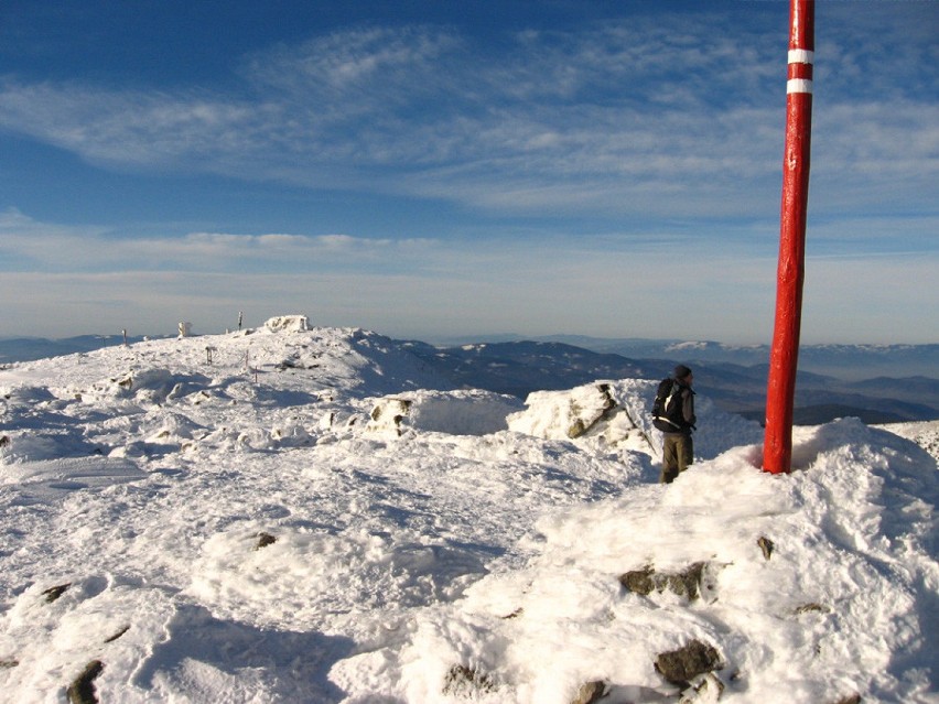 Śnieg w Beskidach. Na Babiej Górze jest już pół metra białego puchu! [ZDJĘCIA]