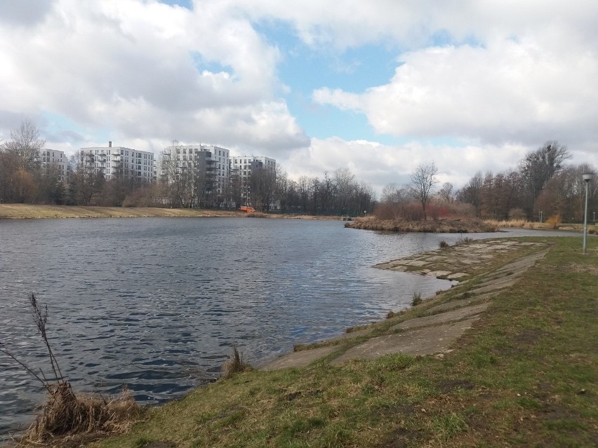 Park nad Sokołówką (pobliże zbiornika "Liściasta")
