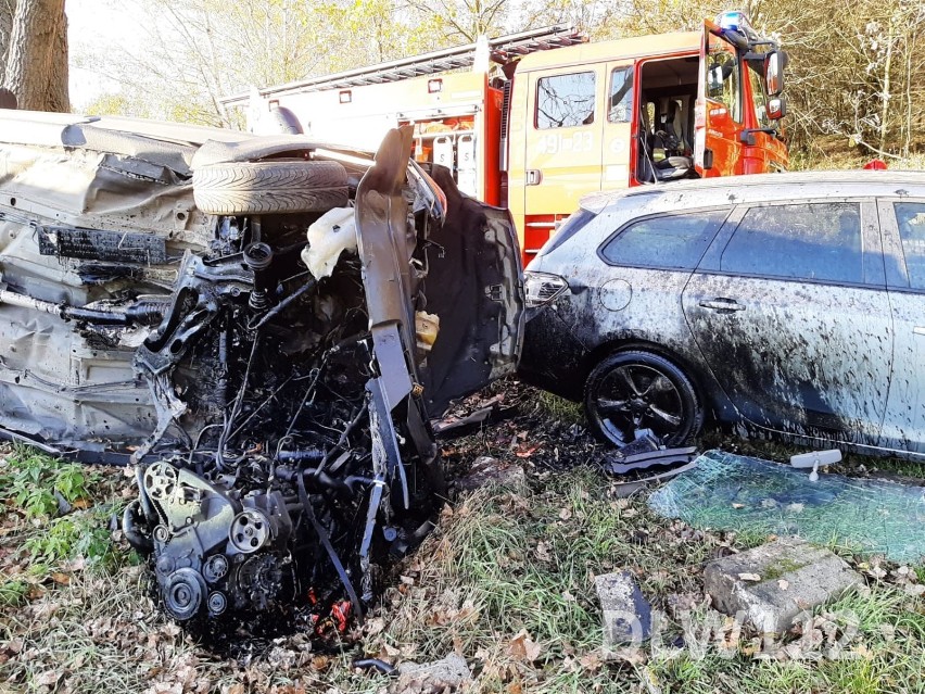 Śmiertelny wypadek między Lwówkiem Śląskim, a Jelenią Górą. Auto wypadło z drogi. [ZDJĘCIA]