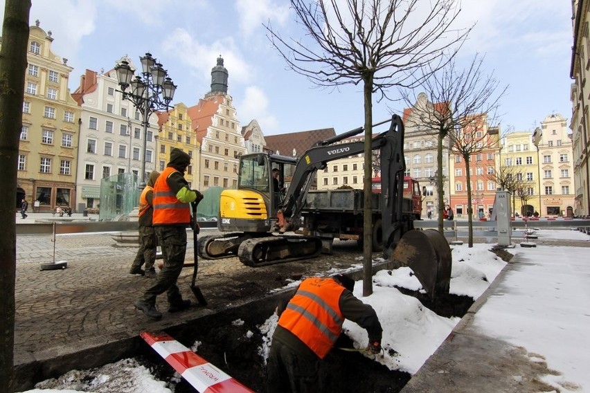 Klony znów na wrocławskim Rynku (ZDJĘCIA)