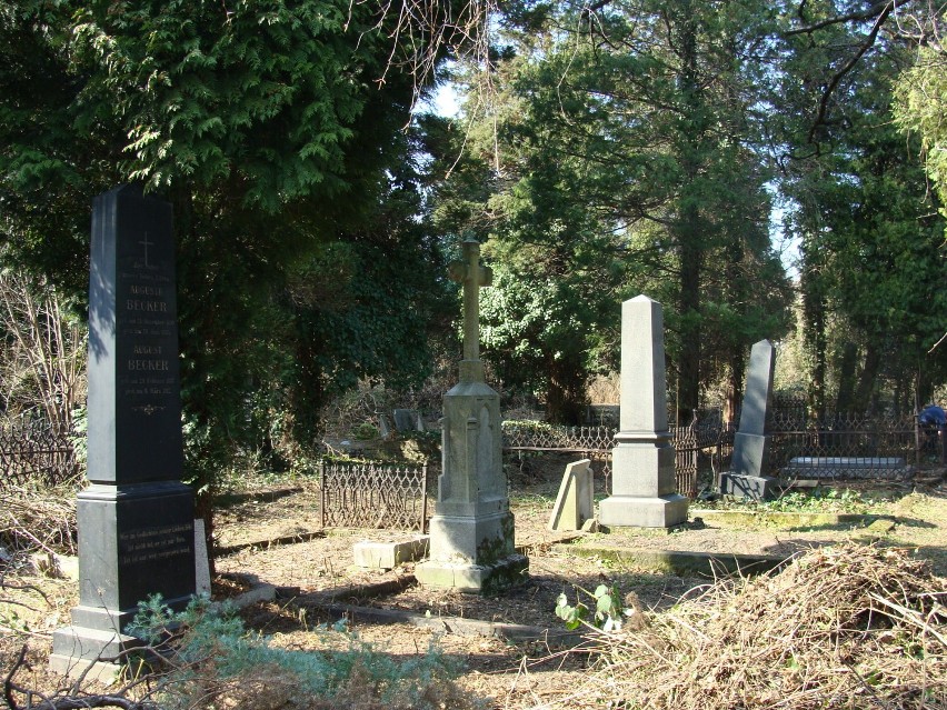 cmentarz ewangelicki przy ul Modrzewskiego