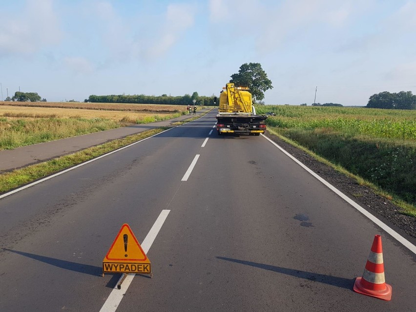 Śmiertelny wypadek pod Boszkowem. Alfa romeo rozbiła się na drzewie. Nie żyje mieszkaniec Góry [ZDJĘCIA]